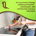 Naturalny Płyn Quariss Do Kuchni - Powiew Lata